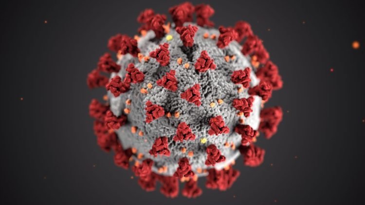 coronavirus U S immigration USCIS
