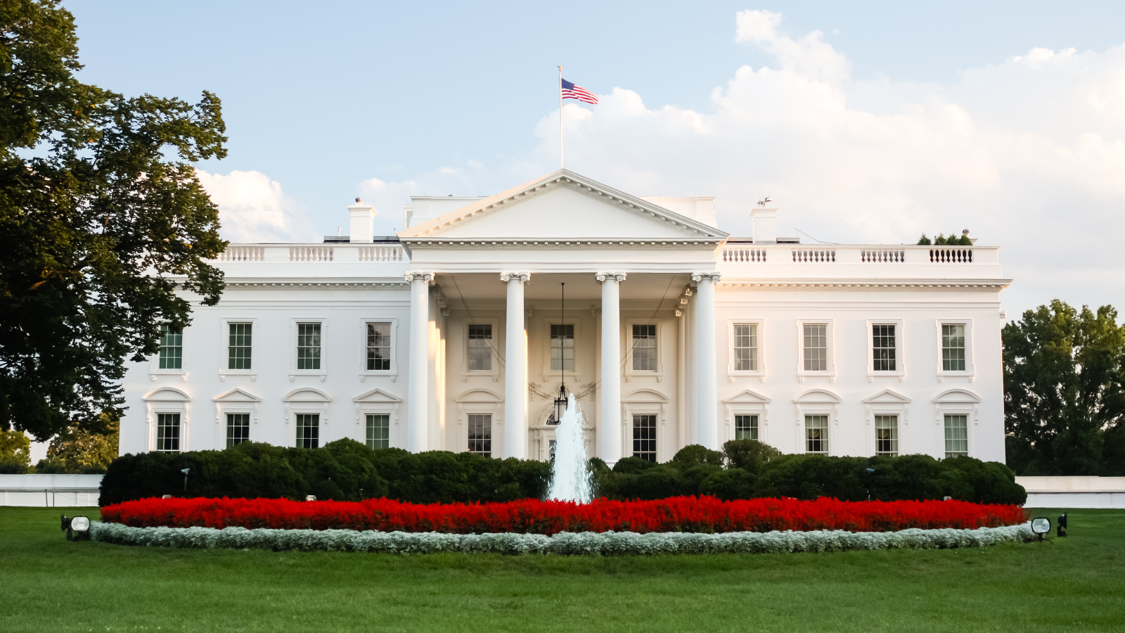Understanding Trump's "Big Beautiful Bill": Immigration Provisions and Birthright Citizenship